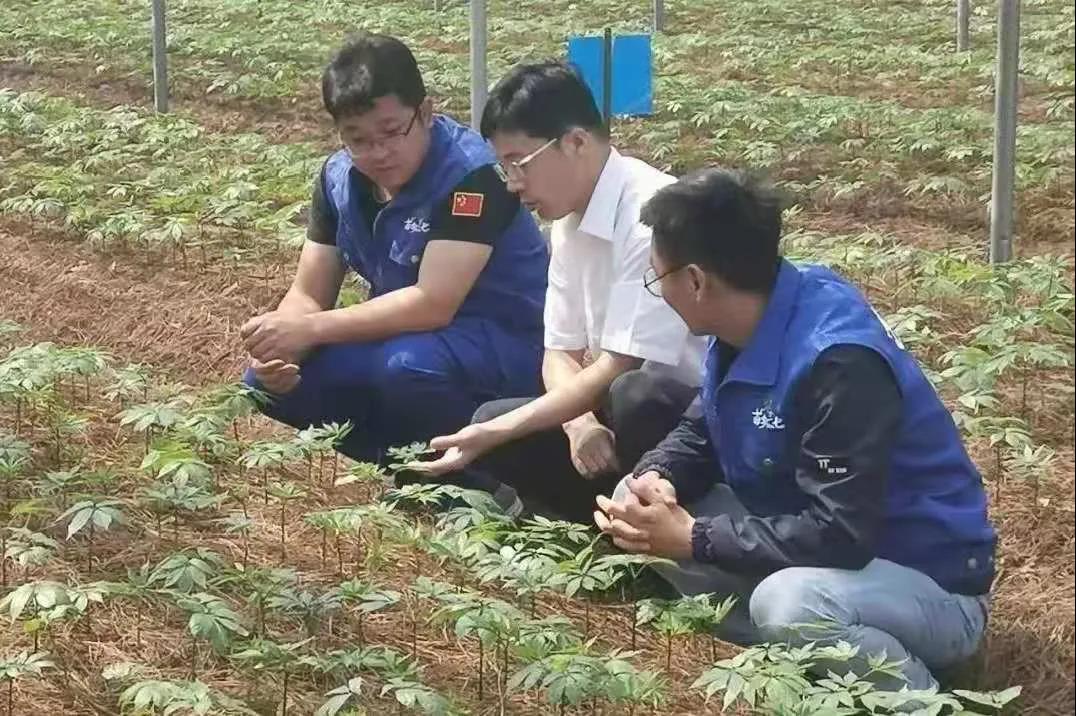 沙巴体育app官网下载(中国)官方网站-手机端通用版